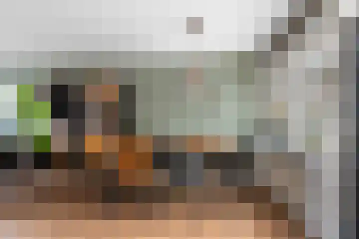 Vossenlaan 21 Bergen L thumbnail 10