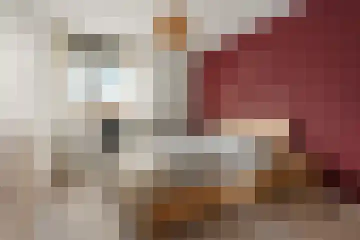Vossenlaan 21 Bergen L thumbnail 12