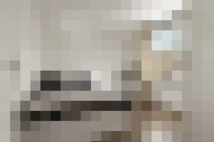 Vossenlaan 21 Bergen L thumbnail 13