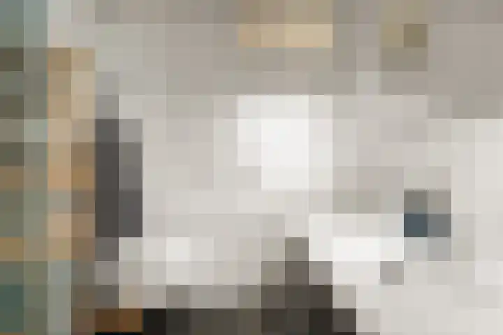 Vossenlaan 21 Bergen L thumbnail 16