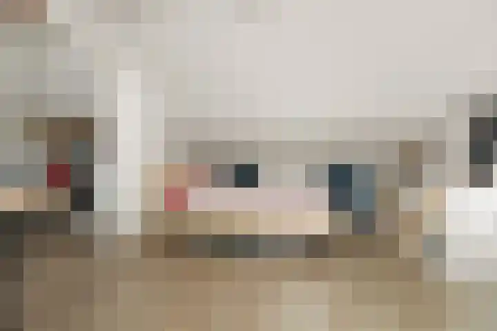 Vossenlaan 21 Bergen L thumbnail 17