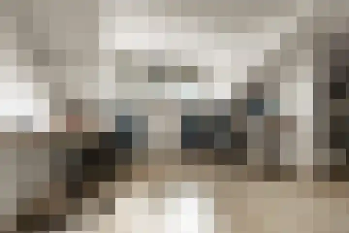 Vossenlaan 21 Bergen L thumbnail 18