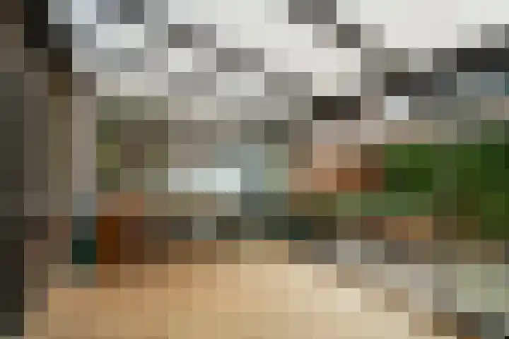 Vossenlaan 21 Bergen L thumbnail 19