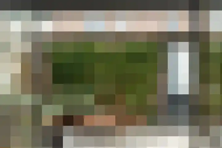 Vossenlaan 21 Bergen L thumbnail 21