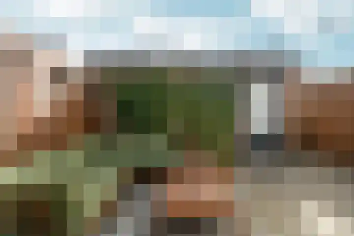 Vossenlaan 21 Bergen L thumbnail 22