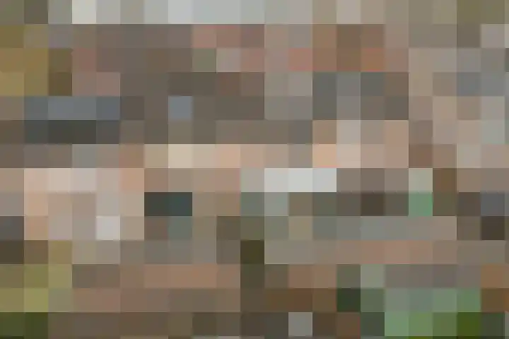 Vossenlaan 21 Bergen L thumbnail 25