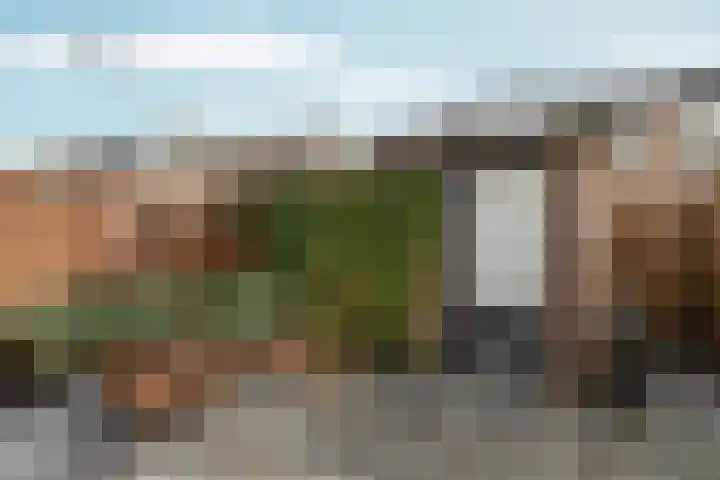 Vossenlaan 21 Bergen L thumbnail 4