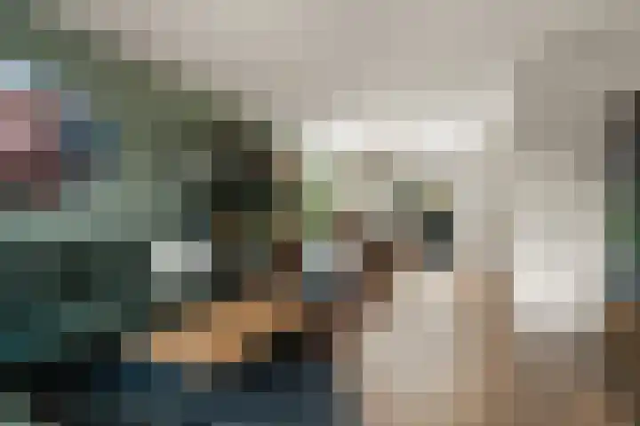 Vossenlaan 21 Bergen L thumbnail 6