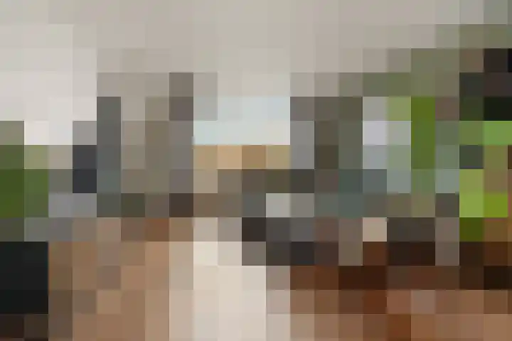 Vossenlaan 21 Bergen L thumbnail 7