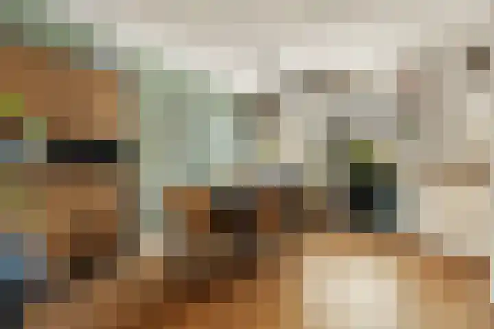 Vossenlaan 21 Bergen L thumbnail 8