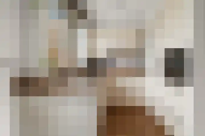 Vossenlaan 21 Bergen L thumbnail 9