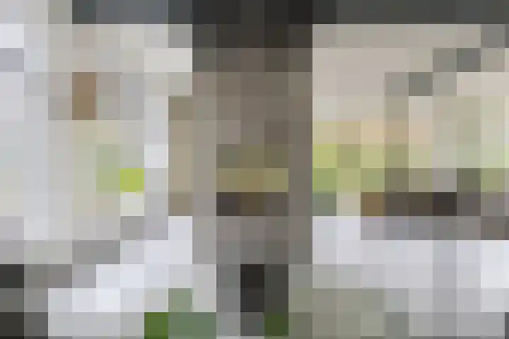 Vossenlaan 24 Bosch en Duin thumbnail 11