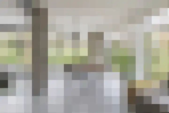 Vossenlaan 24 Bosch en Duin thumbnail 16