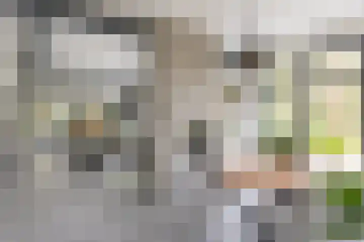 Vossenlaan 24 Bosch en Duin thumbnail 18