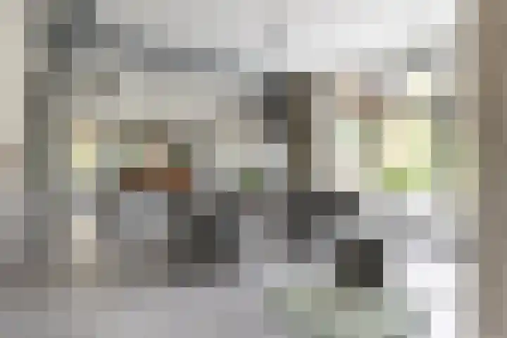 Vossenlaan 24 Bosch en Duin thumbnail 19