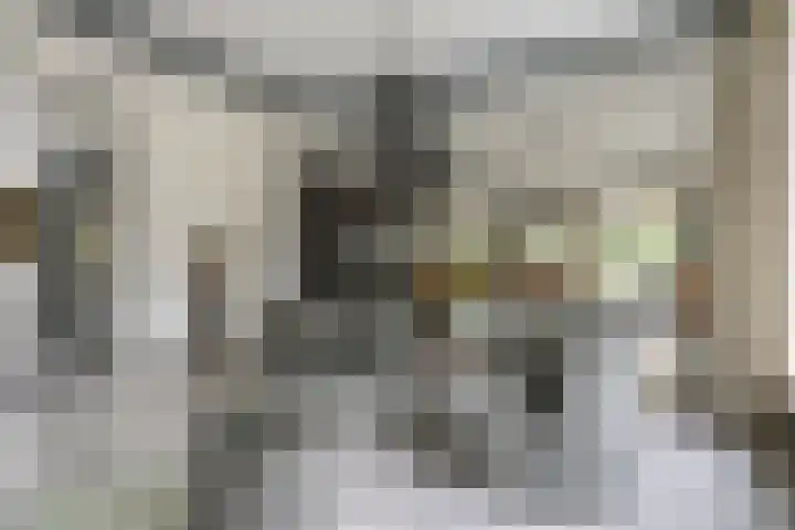 Vossenlaan 24 Bosch en Duin thumbnail 20