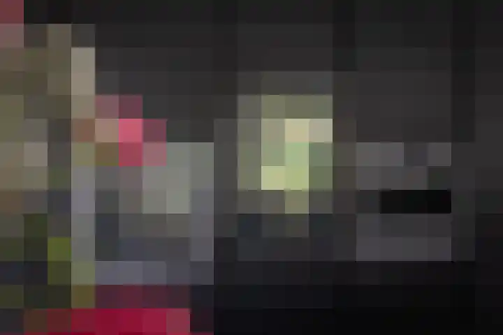 Vossenlaan 24 Bosch en Duin thumbnail 25