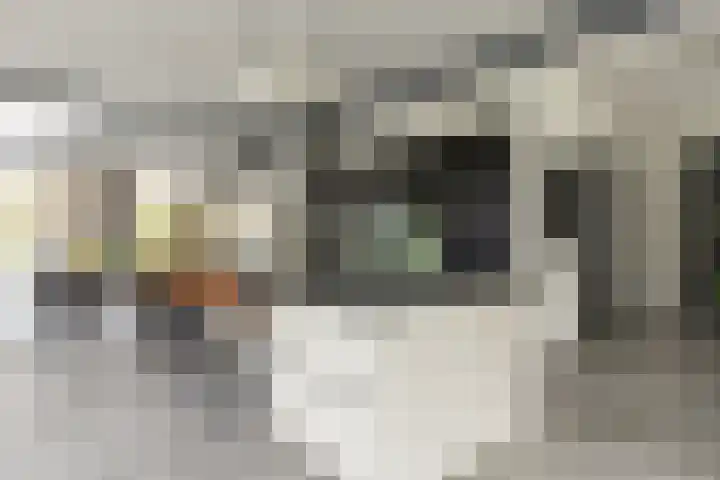 Vossenlaan 24 Bosch en Duin thumbnail 28