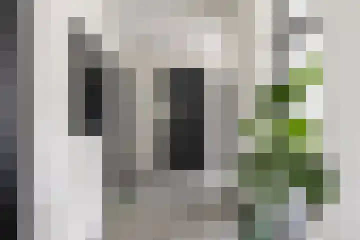 Vossenlaan 24 Bosch en Duin thumbnail 31