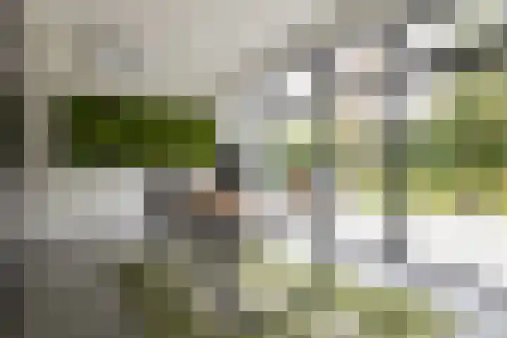 Vossenlaan 24 Bosch en Duin thumbnail 32