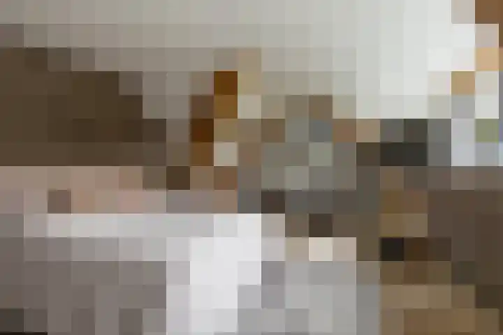Vossenlaan 24 Bosch en Duin thumbnail 41