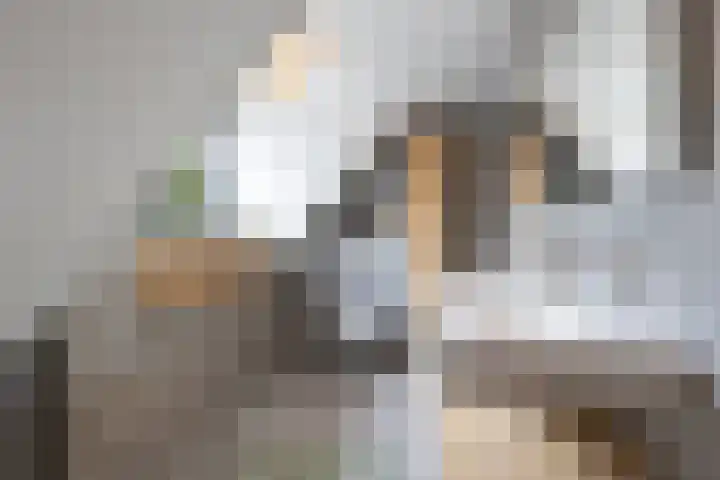 Vossenlaan 24 Bosch en Duin thumbnail 50