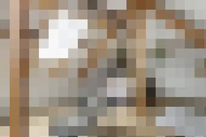 Vossenlaan 24 Bosch en Duin thumbnail 53
