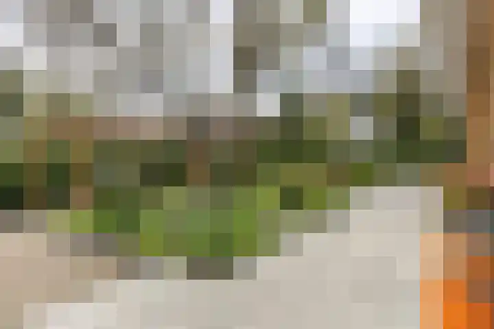 Vossenlaan 24 Bosch en Duin thumbnail 56