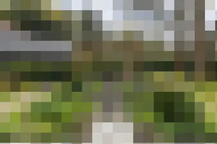 Vossenlaan 24 Bosch en Duin thumbnail 57