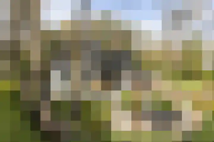 Vossenlaan 24 Bosch en Duin thumbnail 58