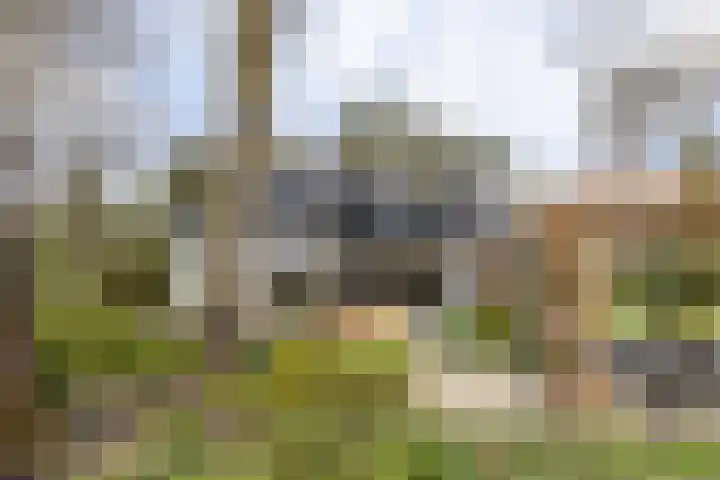 Vossenlaan 24 Bosch en Duin thumbnail 59