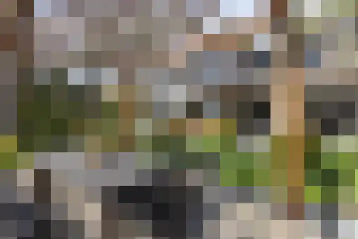 Vossenlaan 24 Bosch en Duin thumbnail 60