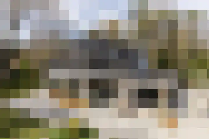 Vossenlaan 24 Bosch en Duin thumbnail 61