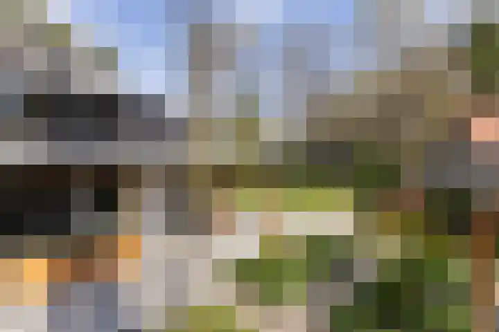 Vossenlaan 24 Bosch en Duin thumbnail 62