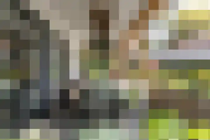 Vossenlaan 24 Bosch en Duin thumbnail 66