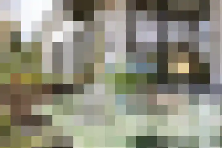 Vossenlaan 24 Bosch en Duin thumbnail 68