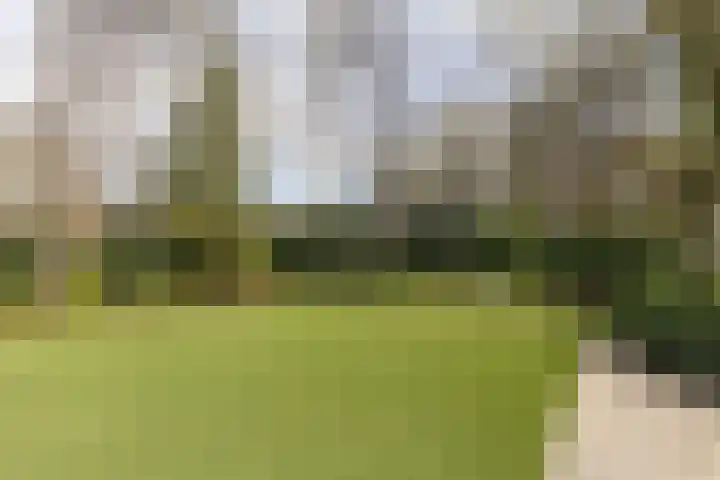 Vossenlaan 24 Bosch en Duin thumbnail 69