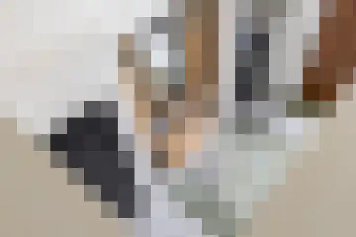 Vossenlaan 24 Bosch en Duin thumbnail 7