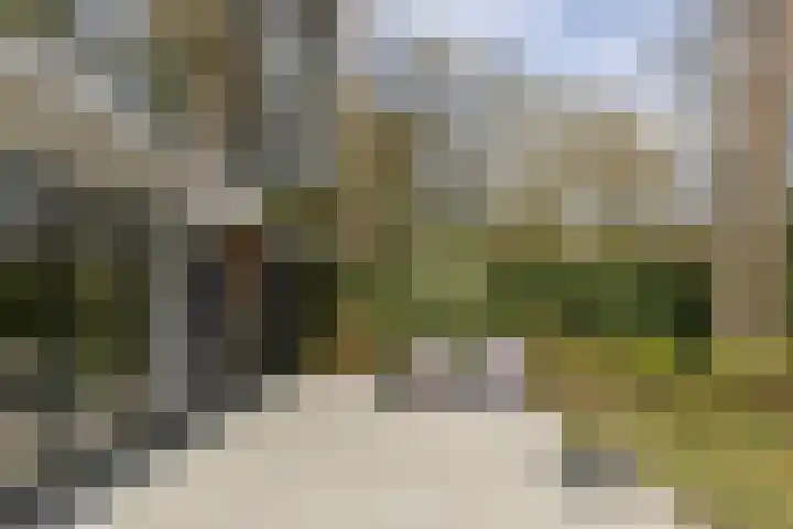 Vossenlaan 24 Bosch en Duin thumbnail 70