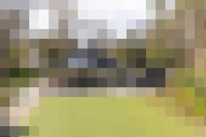 Vossenlaan 24 Bosch en Duin thumbnail 71