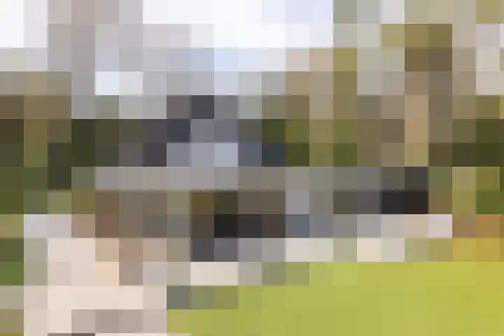 Vossenlaan 24 Bosch en Duin thumbnail 72