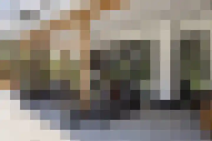 Vossenlaan 24 Bosch en Duin thumbnail 73