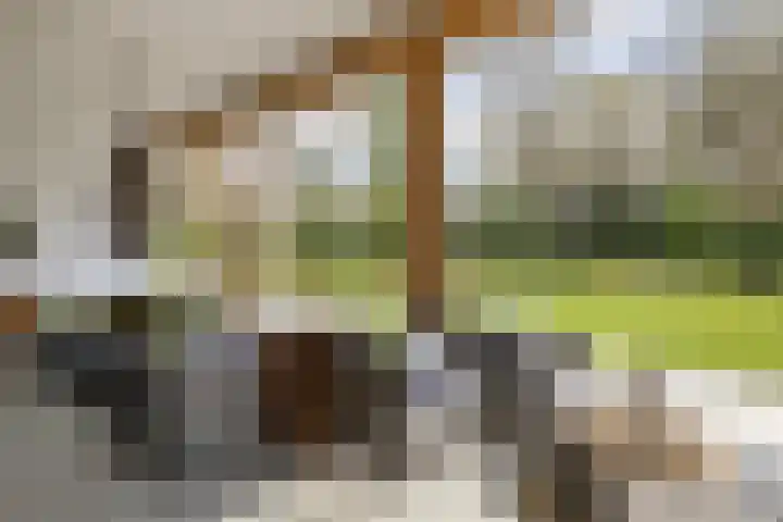 Vossenlaan 24 Bosch en Duin thumbnail 74