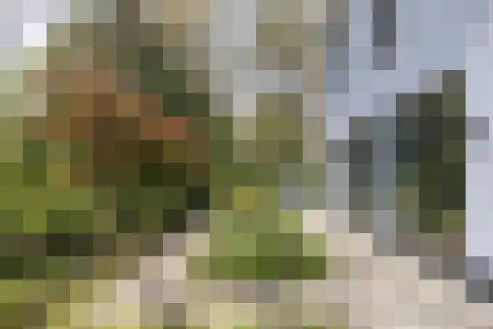 Vossenlaan 24 Bosch en Duin thumbnail 77