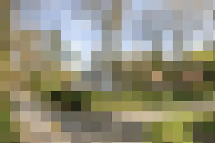 Vossenlaan 24 Bosch en Duin thumbnail 80