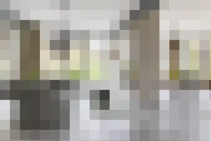 Vossenlaan 24 Bosch en Duin thumbnail 9