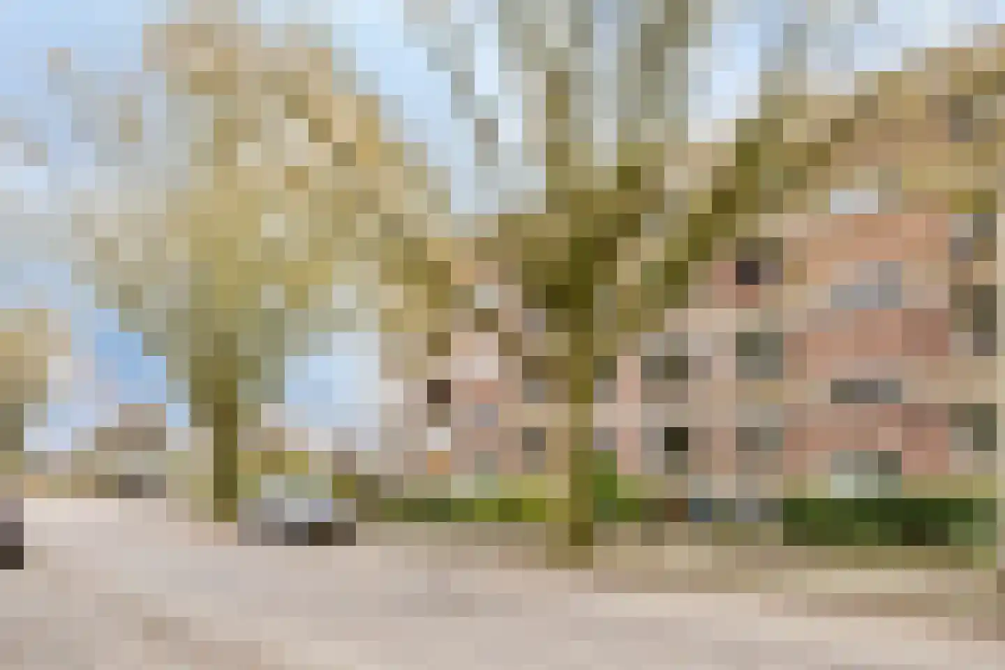 Vossenlaan 329 Nijmegen thumbnail 32