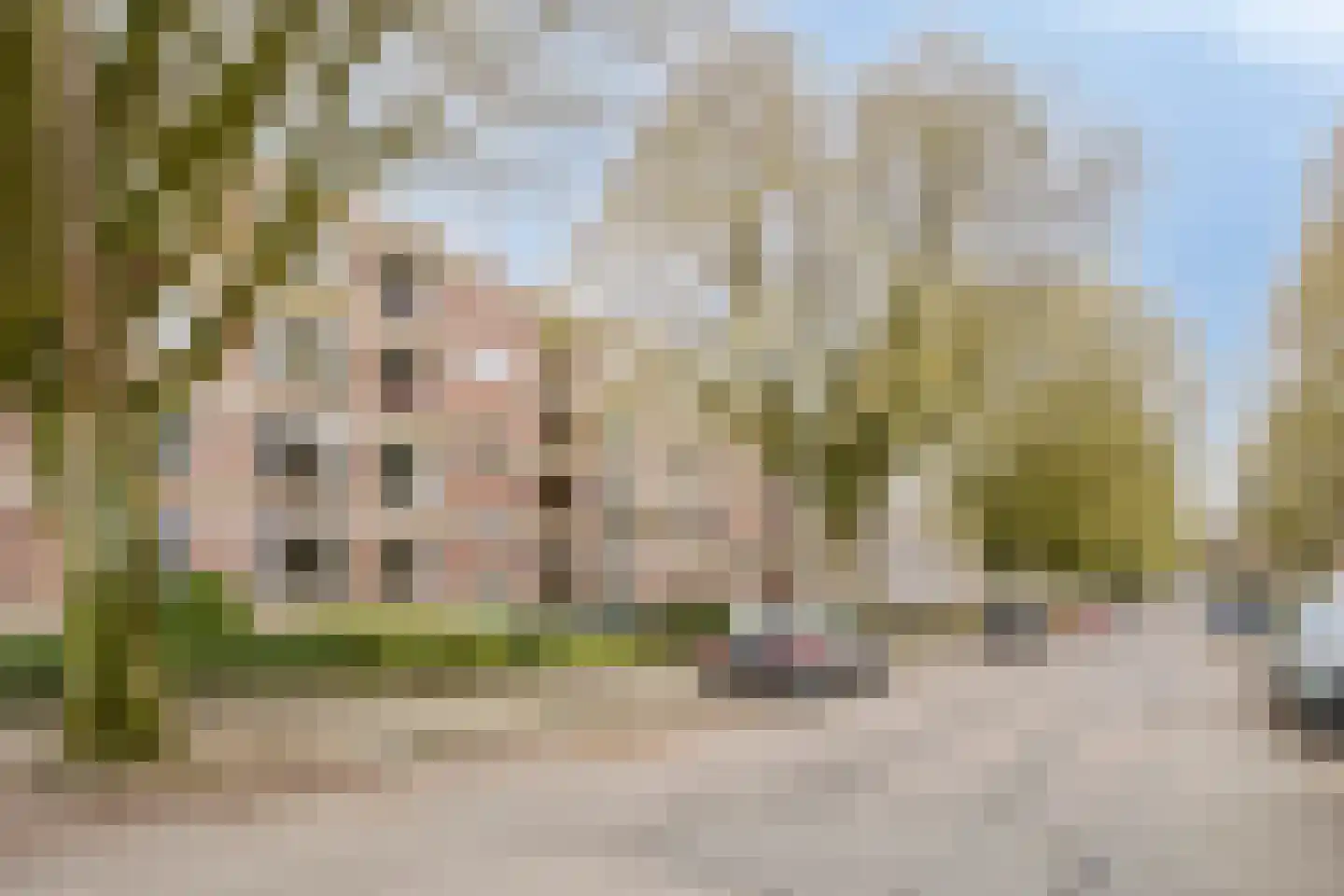 Vossenlaan 329 Nijmegen thumbnail 33
