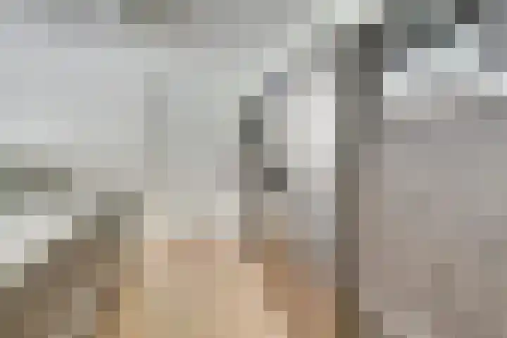 Vossenlaan 33 Bosch en Duin thumbnail 17