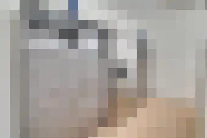 Vossenlaan 33 Bosch en Duin thumbnail 18